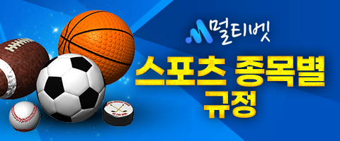 스포츠 종목별.png