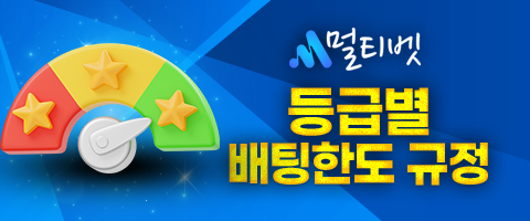등급별 배팅한도.png
